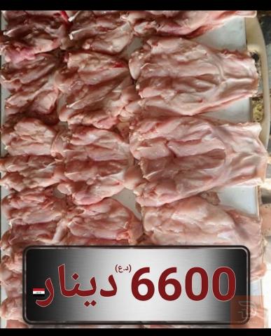 صدر دجاج عراقي بالجلد للبيع في عموم العراق