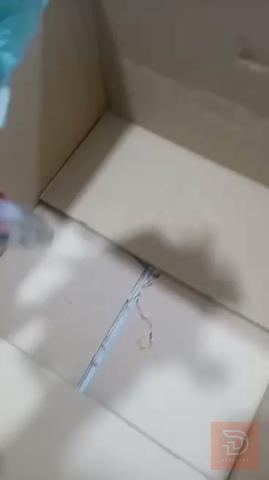 شلعه مع التوصيل لكل العراق للبيع في بغداد