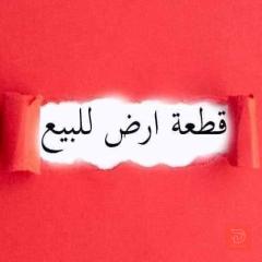 قطعة أرض 1000 متر للبيع في الأنبار