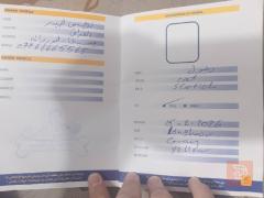 قطة رصاصي للبيع في ميسان